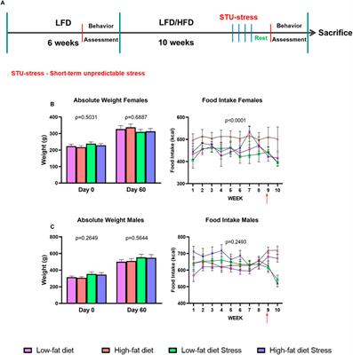 High-Fat Diet and Short-Term Unpredictable Stress Increase Long-Chain Ceramides Without Enhancing Behavioral Despair